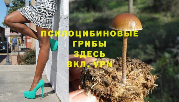 соль ск Абинск