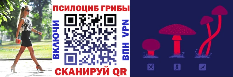 hydra как зайти  площадка формула  Новочебоксарск  Галлюциногенные грибы Psilocybine cubensis  цены наркотик 