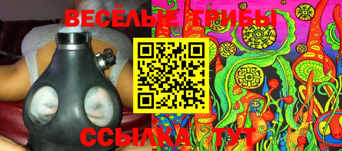 Псилоцибиновые грибы Psilocybe Новочебоксарск