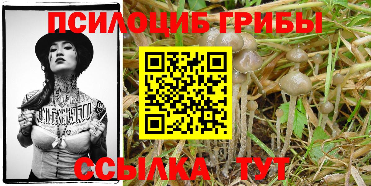 МАРИХУАНА  Вход с VPN  Где купить  Меф кристаллы  Новочебоксарск  ГАШ  Вейп ТГК 