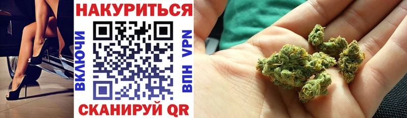 наркотики  Новочебоксарск  Конопля сатива 